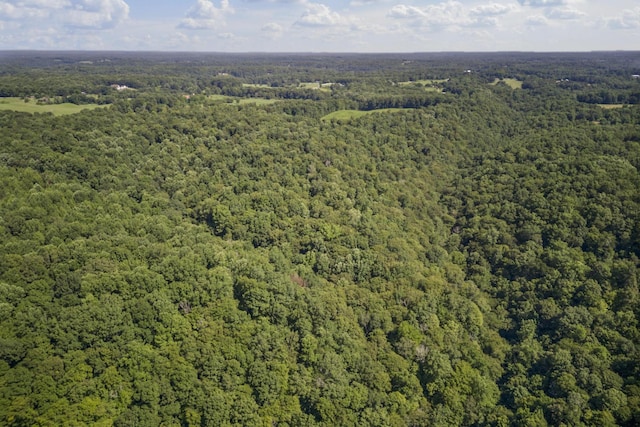 0 Creed Wright Rd, Walling, TN 38587 - photo 6