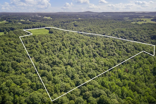 0 Creed Wright Rd, Walling, TN 38587 - photo 2