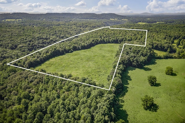 0 Creed Wright Rd, Walling, TN 38587 - photo 1