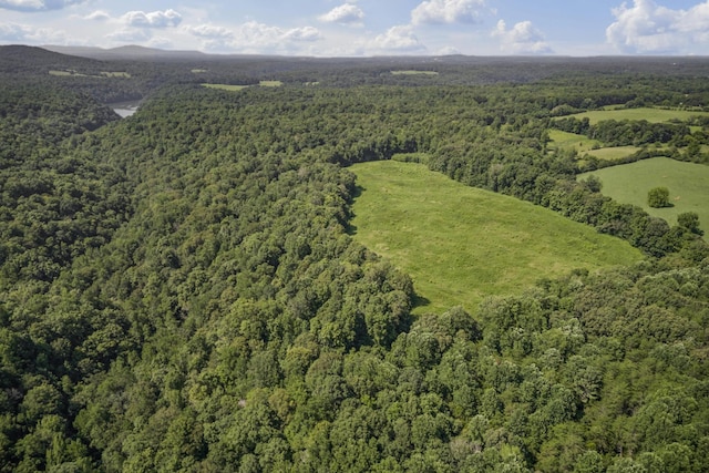 0 Creed Wright Rd, Walling, TN 38587 - photo 3
