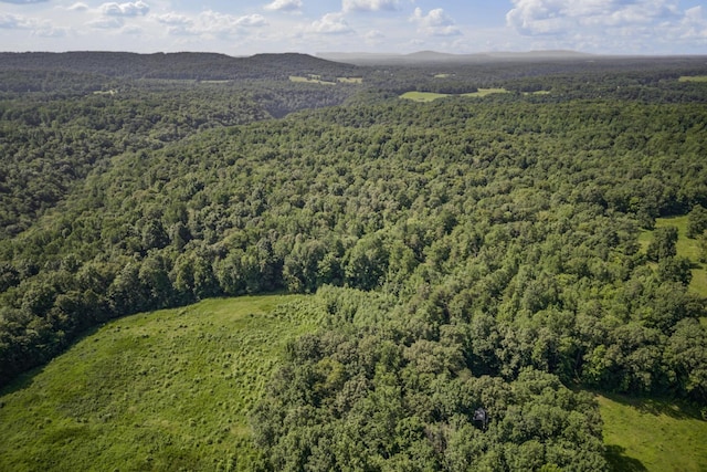 0 Creed Wright Rd, Walling, TN 38587 - photo 4