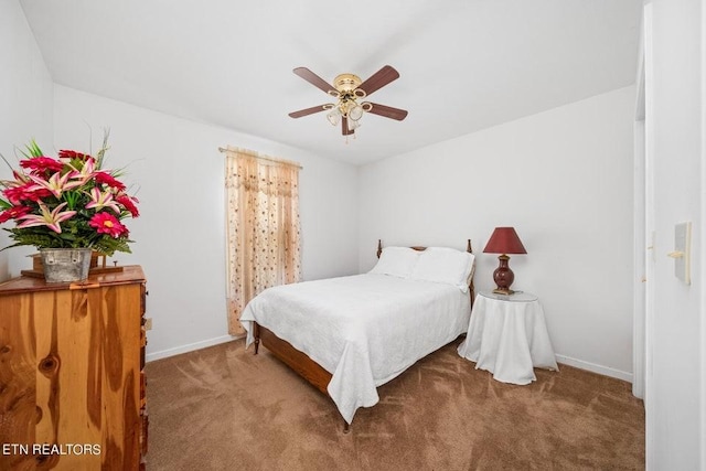 259 Alloway Rd, Grandview, TN 37337 - photo 25