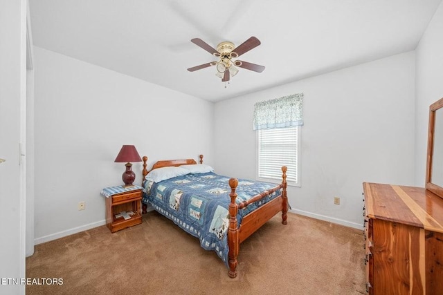 259 Alloway Rd, Grandview, TN 37337 - photo 23