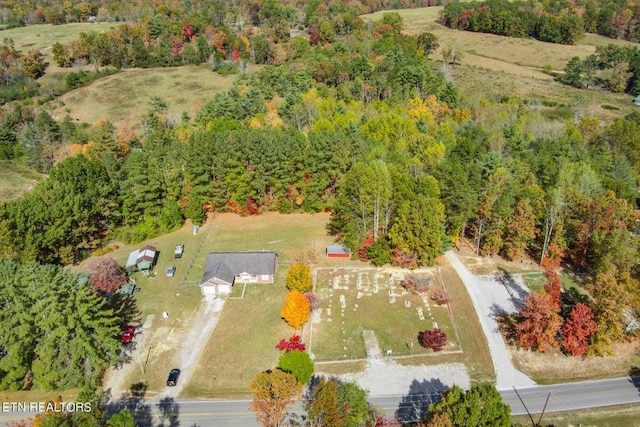259 Alloway Rd, Grandview, TN 37337 - photo 3