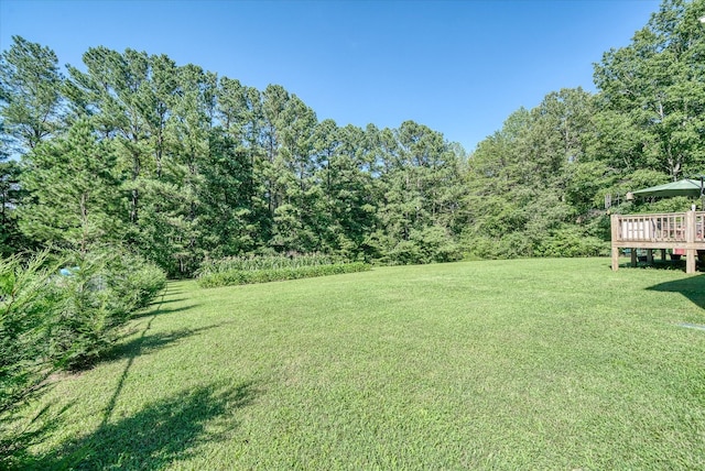 259 Alloway Rd, Grandview, TN 37337 - photo 9