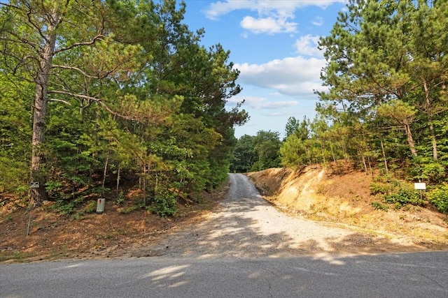 5460 Sulphur Creek Rd, Big Sandy, TN 38221 - photo 3