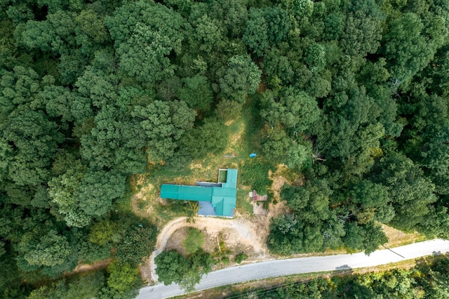 326 Pond Hollow Rd, Lobelville, TN 37097 - photo 16