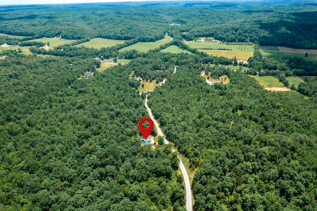 326 Pond Hollow Rd, Lobelville, TN 37097 - photo 15