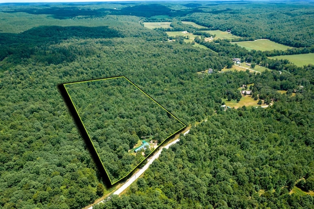 326 Pond Hollow Rd, Lobelville, TN 37097 - photo 13