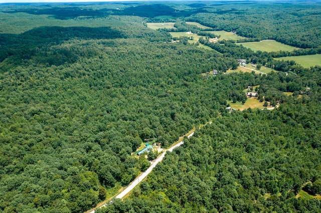 326 Pond Hollow Rd, Lobelville, TN 37097 - photo 14