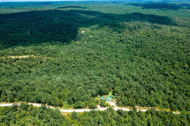 326 Pond Hollow Rd, Lobelville, TN 37097 - photo 12