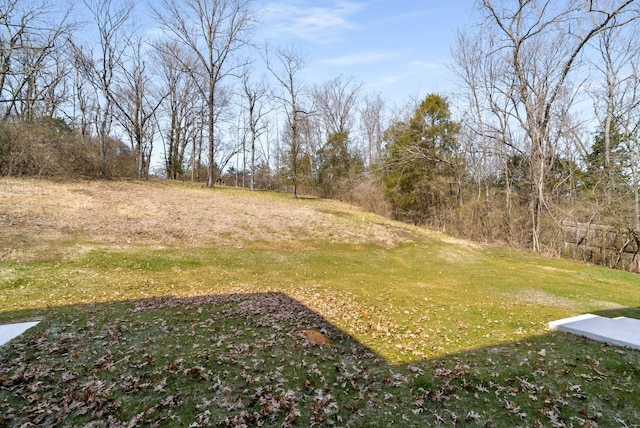 4503 Wayland Dr, Nashville, TN 37215 - photo 88