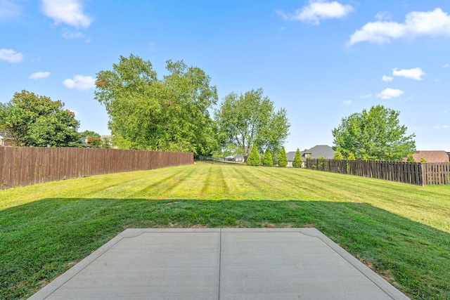 268 Avignon Way, Clarksville, TN 37043 - photo 40