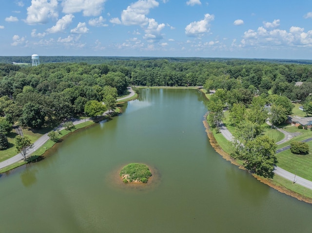 219 E End Dr, Dickson, TN 37055 - photo 2