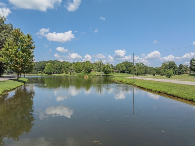 219 E End Dr, Dickson, TN 37055 - photo 27