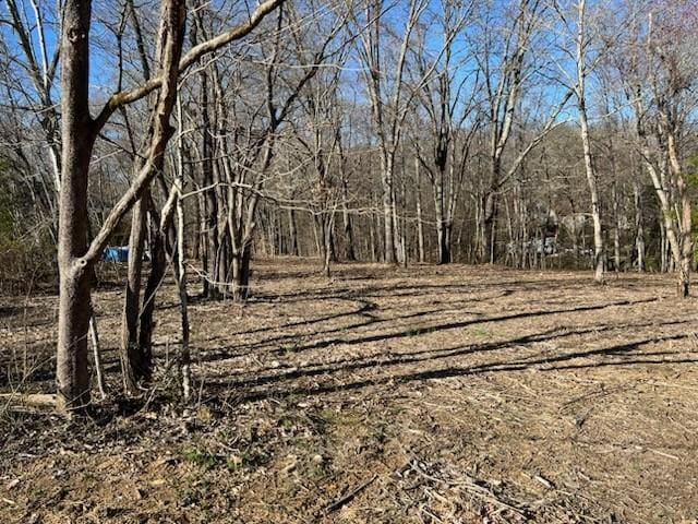 0 River Forge Rd, Manchester, TN 37355 - photo 1