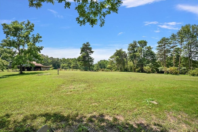 729 Rabbit Trail Rd, Five Points, TN 38457 - photo 44