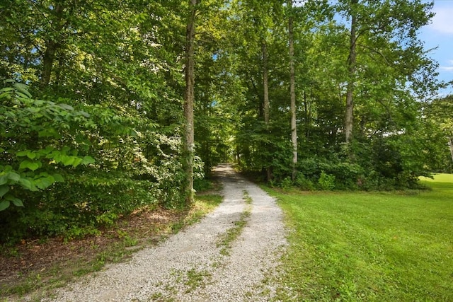 729 Rabbit Trail Rd, Five Points, TN 38457 - photo 55