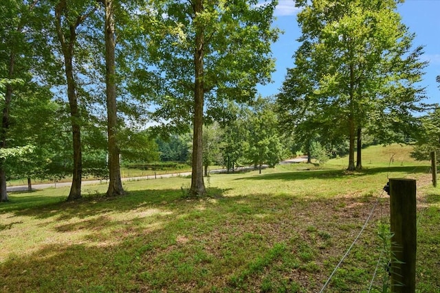 729 Rabbit Trail Rd, Five Points, TN 38457 - photo 54