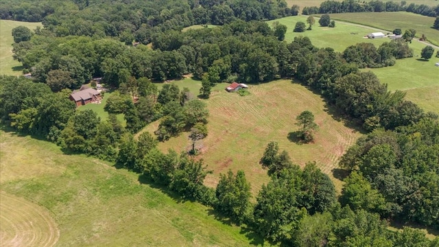 729 Rabbit Trail Rd, Five Points, TN 38457 - photo 61