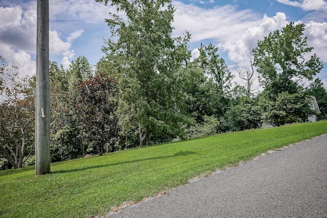 0 Fox Hill Rd, Baxter, TN 38544 - photo 12