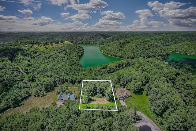 0 Fox Hill Rd, Baxter, TN 38544 - photo 4
