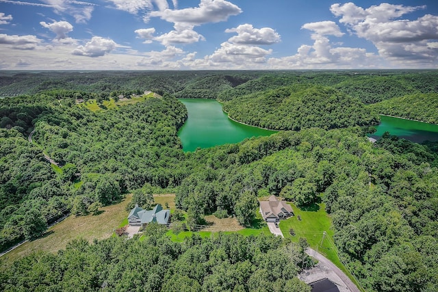 0 Fox Hill Rd, Baxter, TN 38544 - photo 5