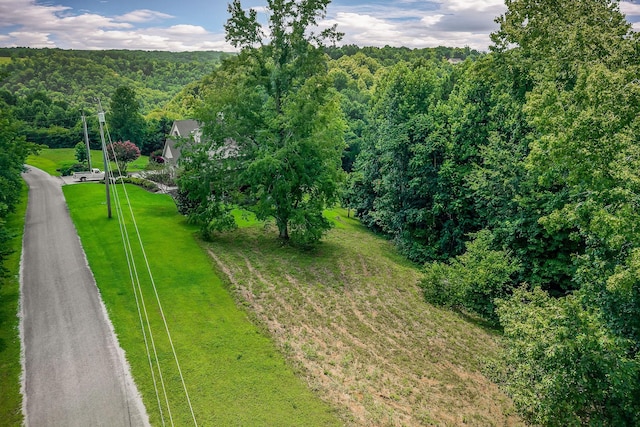 0 Fox Hill Rd, Baxter, TN 38544 - photo 10