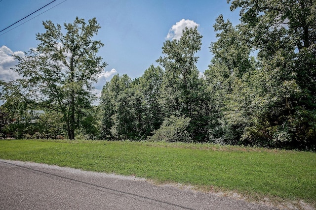 0 Fox Hill Rd, Baxter, TN 38544 - photo 14