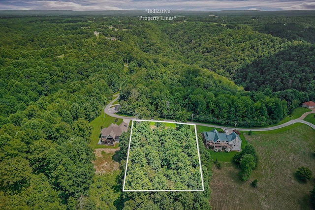 0 Fox Hill Rd, Baxter, TN 38544 - photo 7