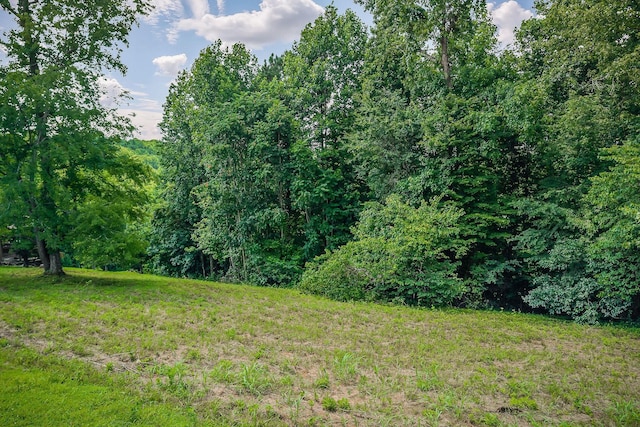 0 Fox Hill Rd, Baxter, TN 38544 - photo 11
