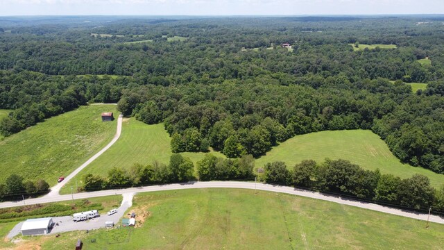 13 Hayes Ridge Rd, Indian Mound, TN 37079 - photo 2