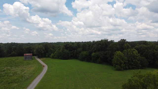 13 Hayes Ridge Rd, Indian Mound, TN 37079 - photo 8