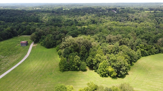 13 Hayes Ridge Rd, Indian Mound, TN 37079 - photo 5