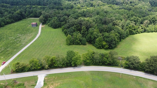 13 Hayes Ridge Rd, Indian Mound, TN 37079 - photo 4