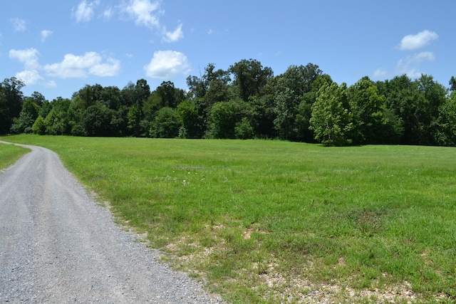13 Hayes Ridge Rd, Indian Mound, TN 37079 - photo 9