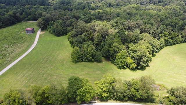13 Hayes Ridge Rd, Indian Mound, TN 37079 - photo 6