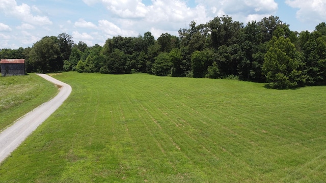 13 Hayes Ridge Rd, Indian Mound, TN 37079 - photo 3