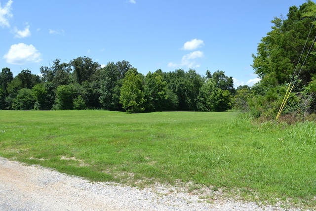 13 Hayes Ridge Rd, Indian Mound, TN 37079 - photo 11