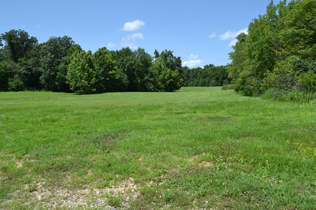 13 Hayes Ridge Rd, Indian Mound, TN 37079 - photo 10