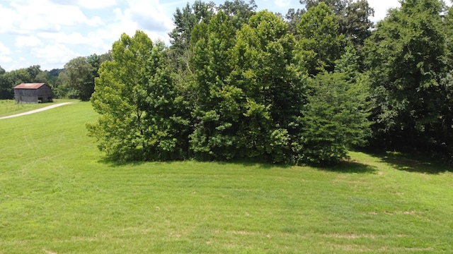 14 Hayes Ridge Rd, Indian Mound, TN 37079 - photo 4