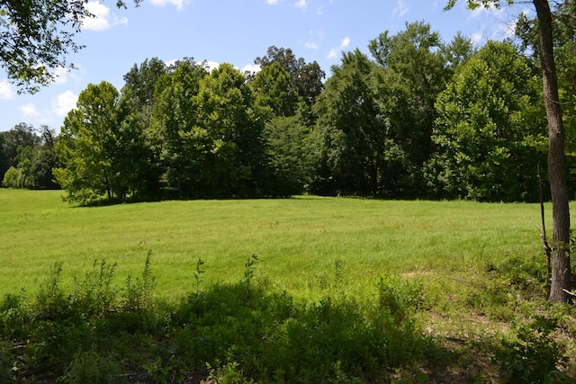14 Hayes Ridge Rd, Indian Mound, TN 37079 - photo 11