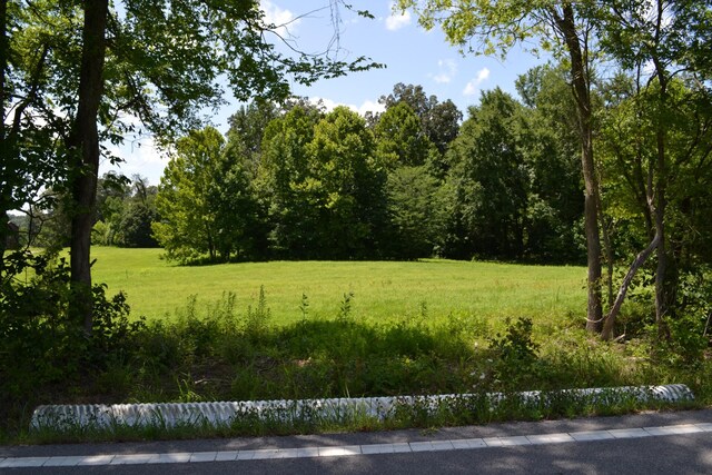 14 Hayes Ridge Rd, Indian Mound, TN 37079 - photo 10