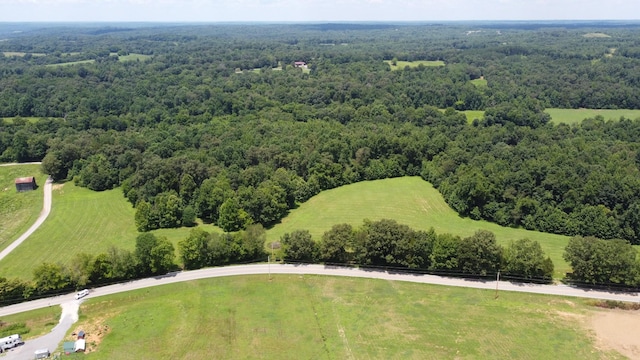 14 Hayes Ridge Rd, Indian Mound, TN 37079 - photo 2