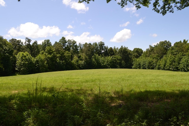 15 Hayes Ridge Rd, Indian Mound, TN 37079 - photo 12