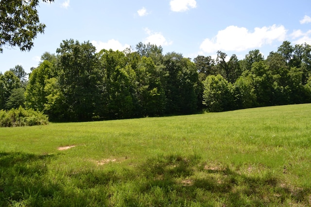 15 Hayes Ridge Rd, Indian Mound, TN 37079 - photo 14