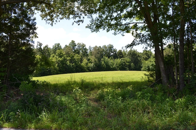 15 Hayes Ridge Rd, Indian Mound, TN 37079 - photo 11