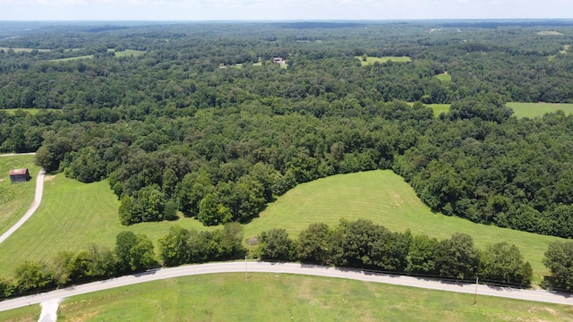 15 Hayes Ridge Rd, Indian Mound, TN 37079 - photo 1