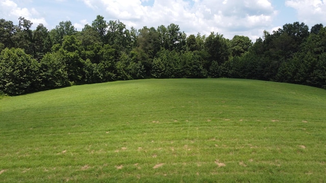 15 Hayes Ridge Rd, Indian Mound, TN 37079 - photo 6