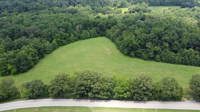 15 Hayes Ridge Rd, Indian Mound, TN 37079 - photo 3